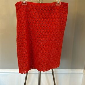 LINED LACE SKIRT
